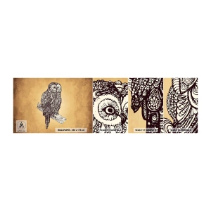 Fototapeta Próbka Samoprzylepna Deluxe Sticker - Misterne ornamenty mądrości - Sowa, Ptak, Zwierzę - 100x30 cm