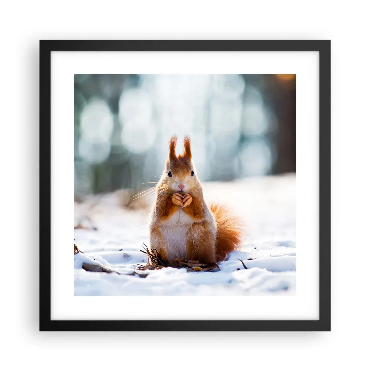 Plakat w czarnej ramie - I co tak patrzysz? - 40x40 cm