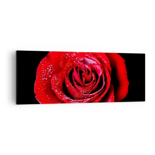 Obraz na płótnie - Czerwona róża pokryta kroplami rosy na czarnym tle. - 140x50cm - To właśnie miłość - Nowoczesna dekoracja ścienna do salonu i sypialni ARTTOR