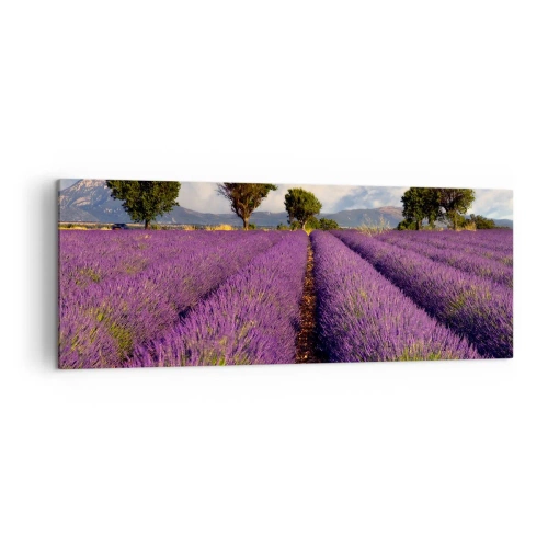 Obraz na płótnie - Pole lawendy z drzewami na tle gór i nieba - 140x50cm - Lawendowe łany - Nowoczesna dekoracja ścienna do salonu i sypialni ARTTOR