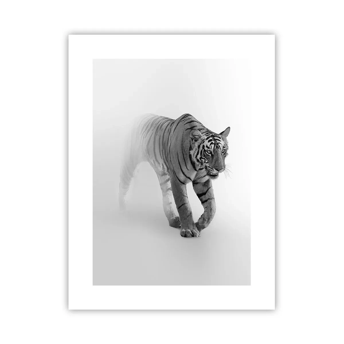 Plakat - Przyczajony we mgle - 30x40 cm