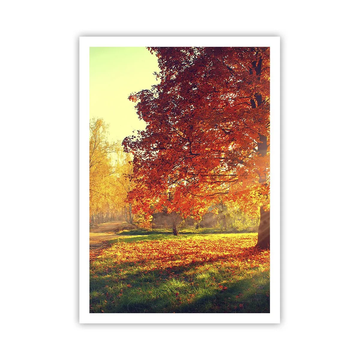 Plakat - Rude jest piękne - 70x100 cm