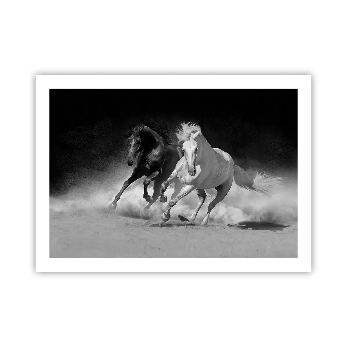 Plakat - Galop wolności - 70x50 cm