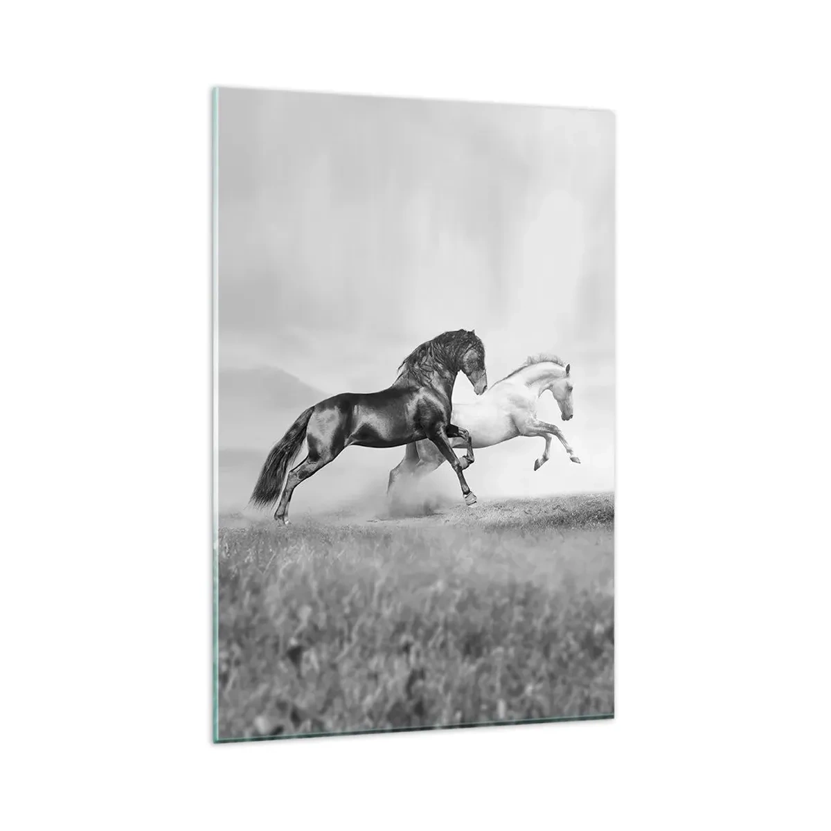 Obraz na szkle - Dwa konie galopujące w dynamicznej, czarno-białej kompozycji - 80x120cm - Anioły i demony - Nowoczesna dekoracja ścienna do salonu i sypialni ARTTOR