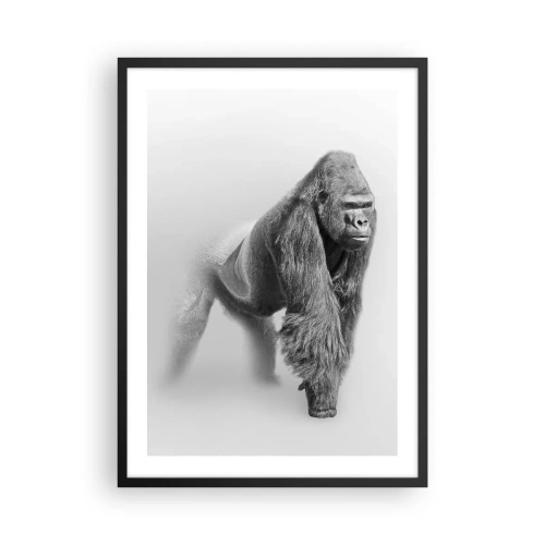 Plakat w czarnej ramie - Portret goryla na minimalistycznym tle - 50x70cm - Pewny swej siły - Nowoczesna dekoracja ścienna do salonu i sypialni ARTTOR