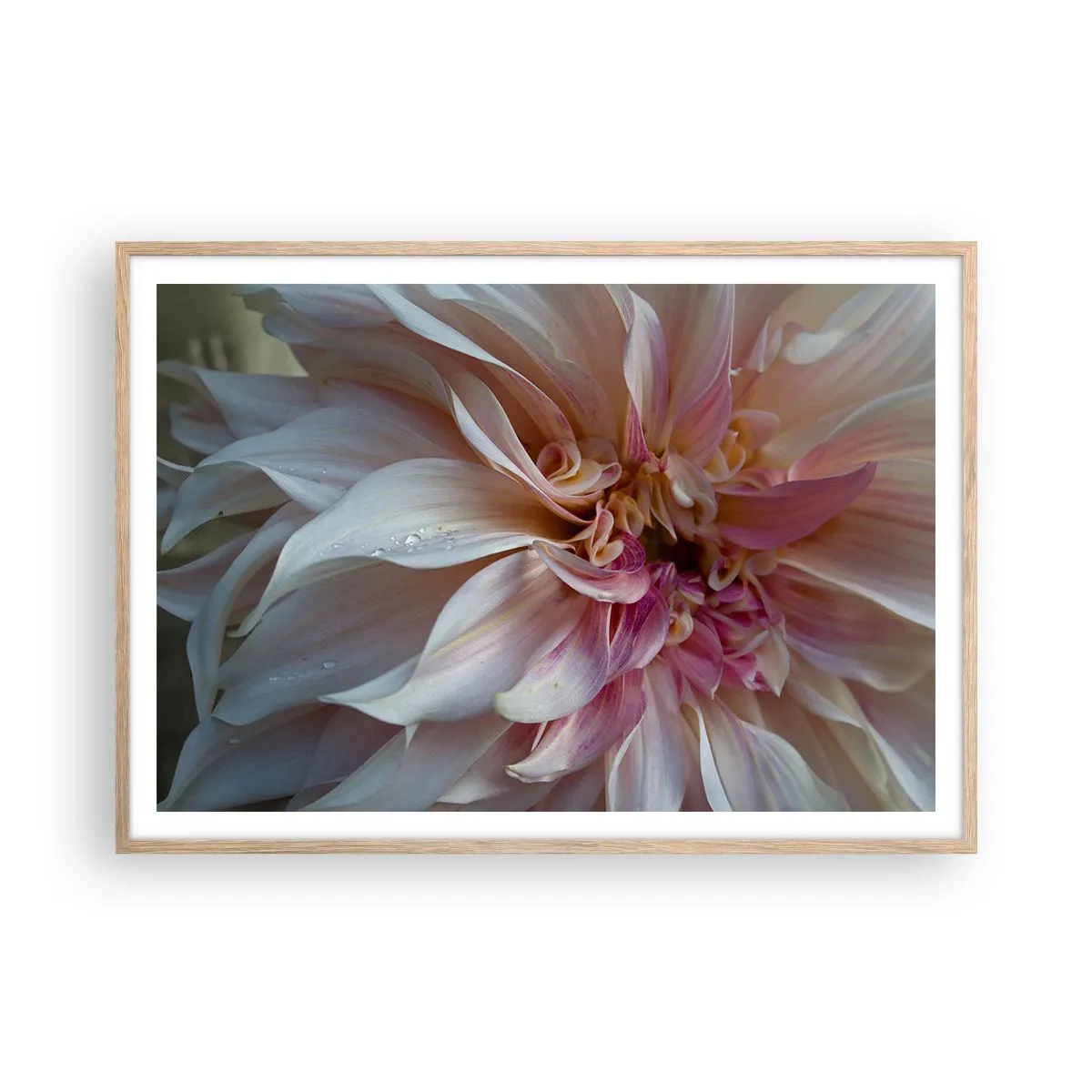 Plakat w ramie jasny dąb - Kwitnąca świeżość - 100x70 cm