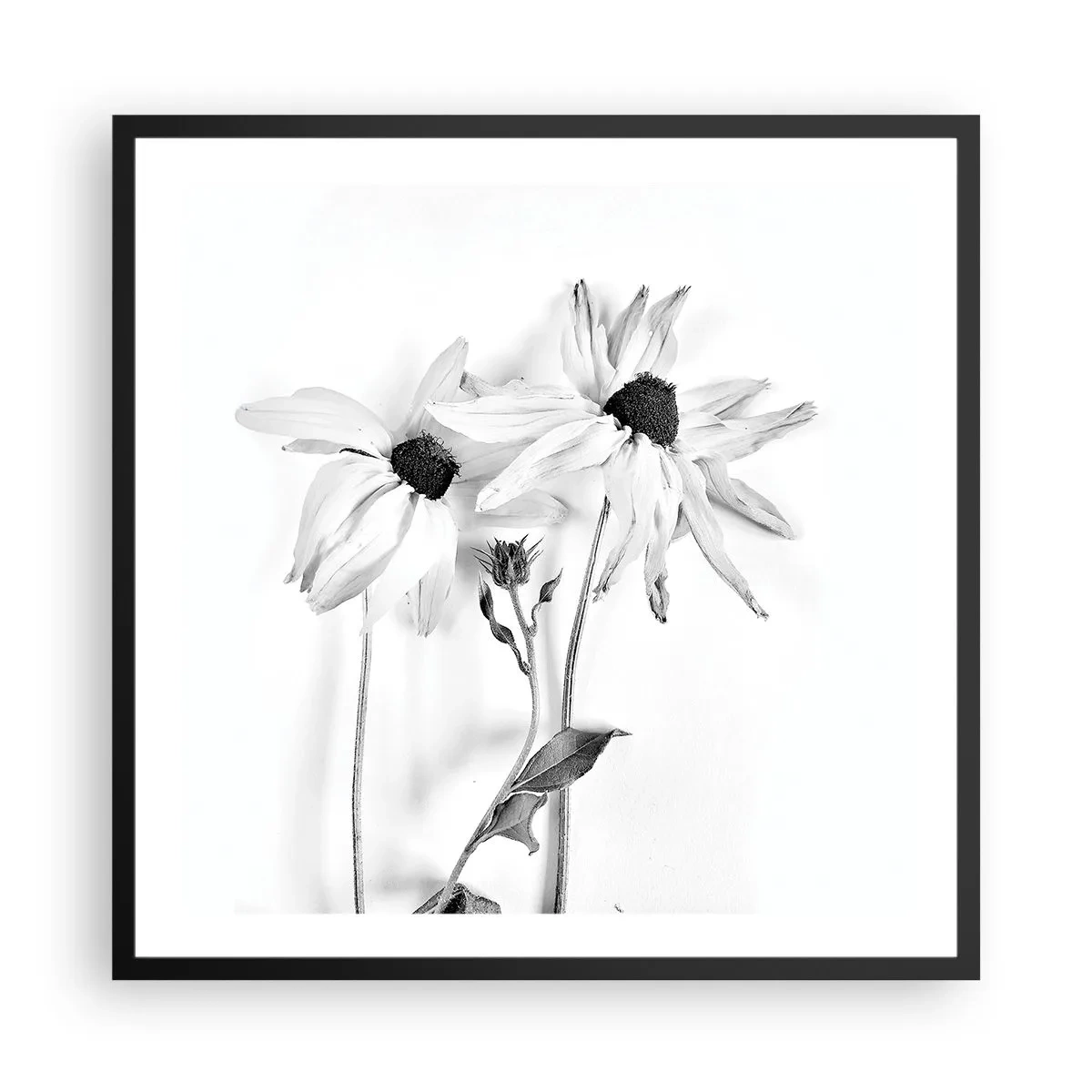 Plakat w czarnej ramie - Nikt nie chce być sam - 60x60 cm