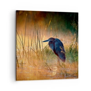 Obraz na płótnie - No dajcie mi spokój z tymi zdjęciami - 50x50 cm