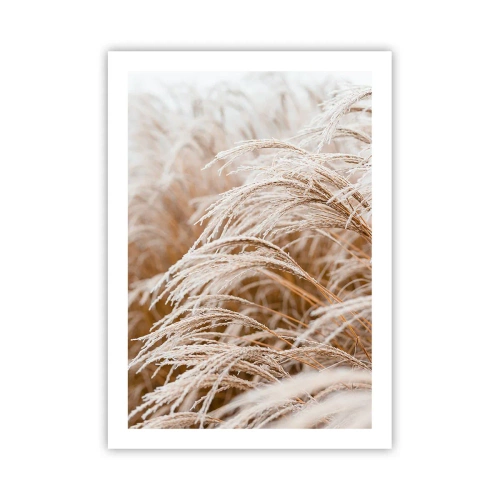 Plakat - Zbliżenie na oszronione trawy w zimowym krajobrazie - 50x70cm - Pokłon jesiennemu słońcu - Nowoczesna dekoracja ścienna do salonu, kuchni i sypialni ARTTOR