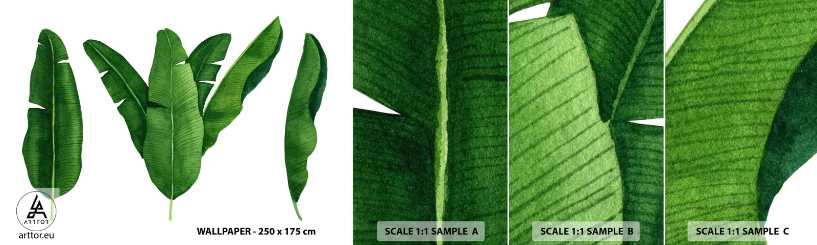 Fototapeta Próbka Samoprzylepna Deluxe Sticker - Zielona symetria - Liść Bananowca, Tropikalny, Styl Botaniczny - 100x30 cm