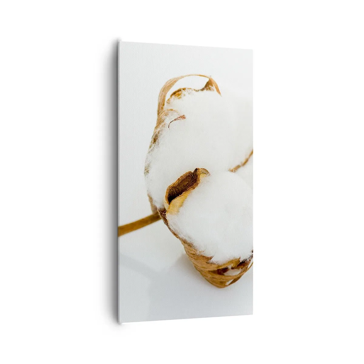 Obraz na płótnie - Miękka z natury - 65x120 cm