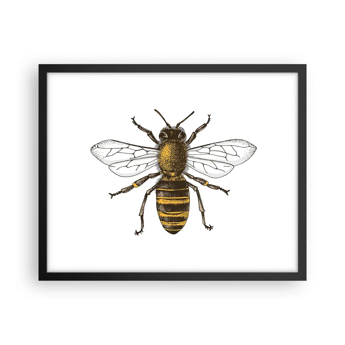 Plakat w czarnej ramie - Piękna i dobra - 50x40 cm