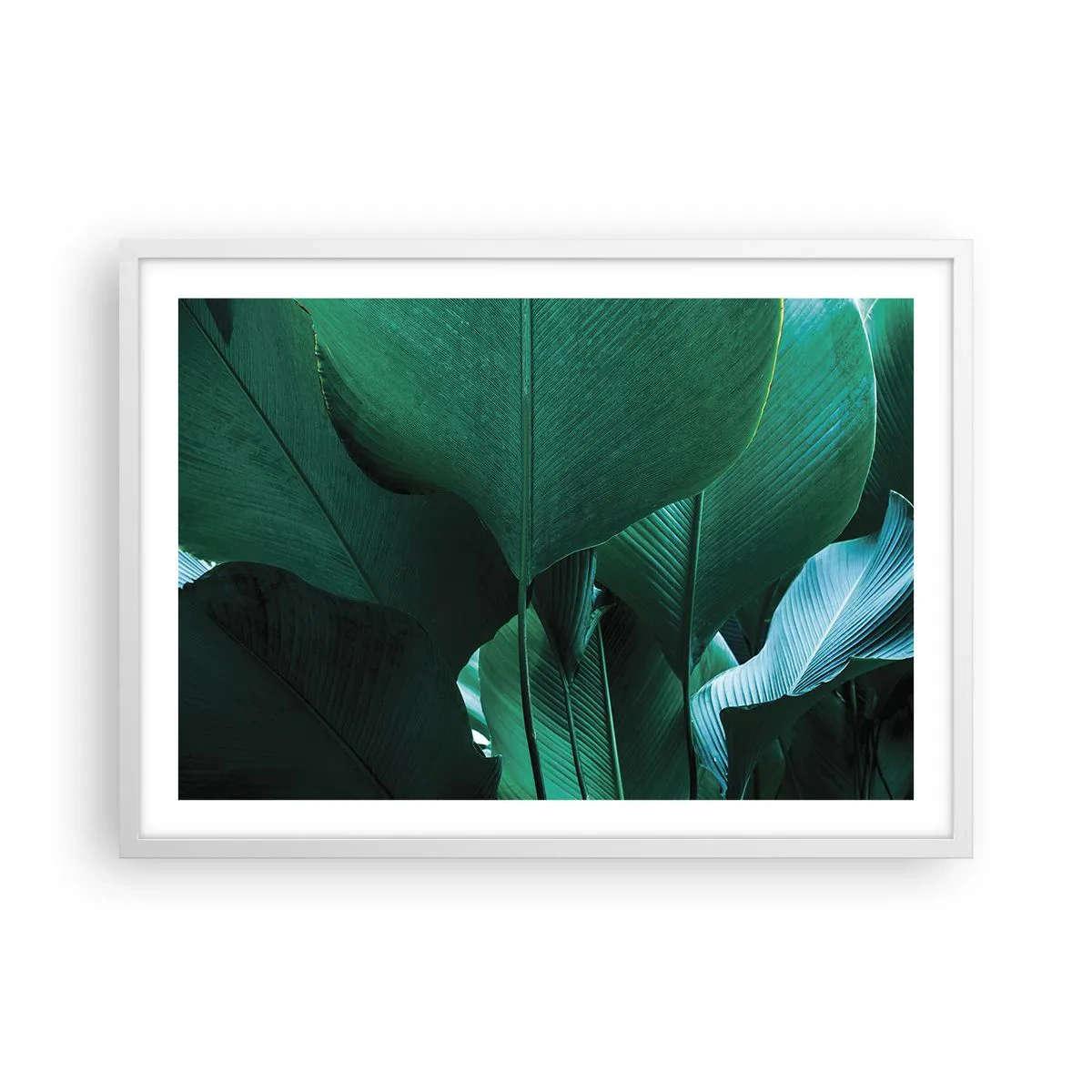 Plakat w białej ramie - Zwrócone do światła - 70x50 cm