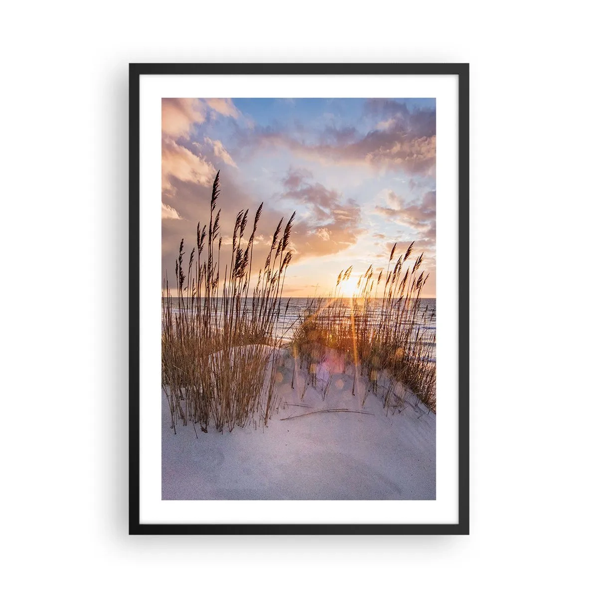 Plakat w czarnej ramie - Trawy na wydmach oświetlone promieniami zachodzącego słońca - 50x70cm - Pożegnanie słońca i wiatru - Nowoczesna dekoracja ścienna do salonu i sypialni ARTTOR