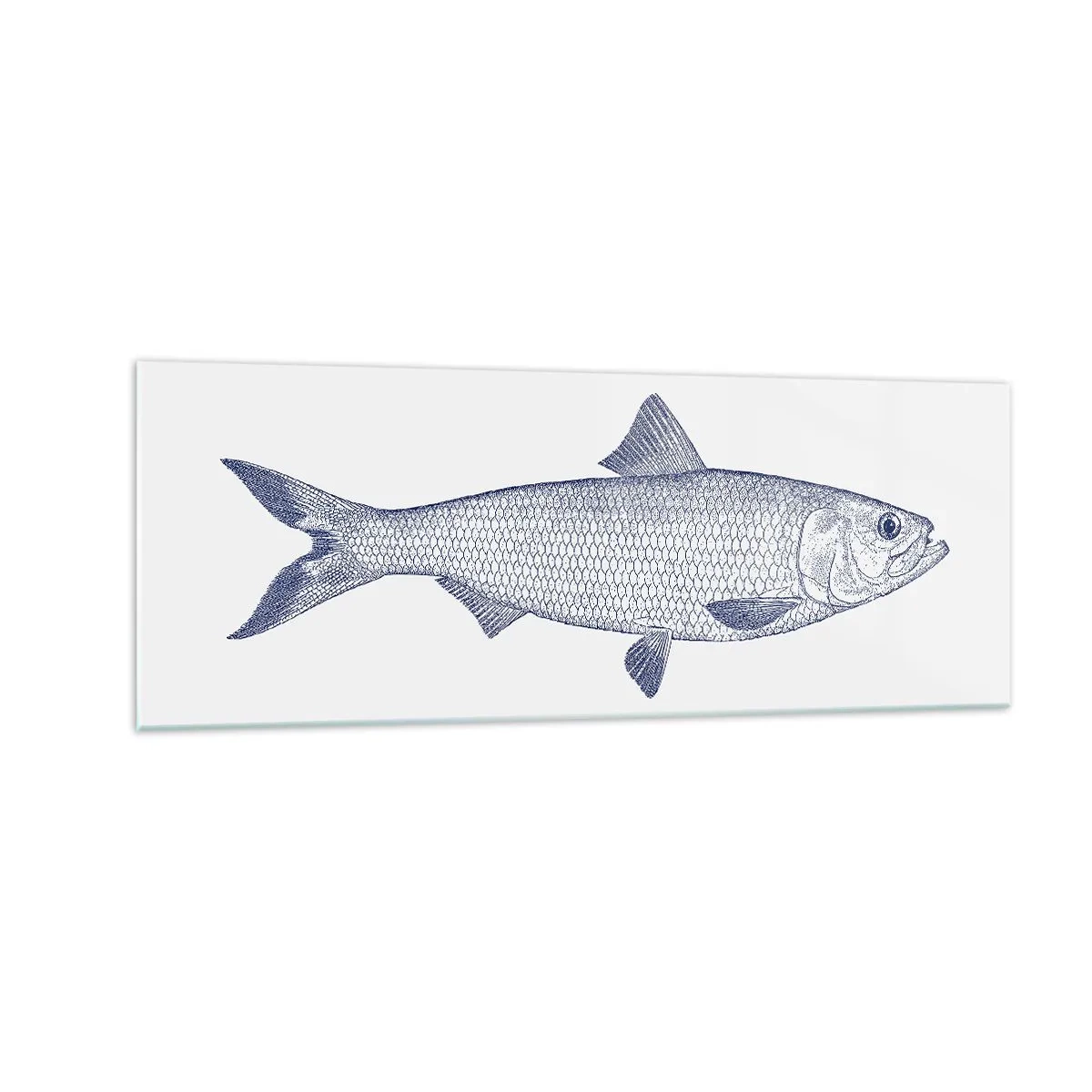 Obraz na szkle - Ilustracja ryby w odcieniach niebieskiego na jasnym tle - 140x50cm - Pozdrowienia z północnych mórz - Nowoczesna dekoracja ścienna do salonu i sypialni ARTTOR