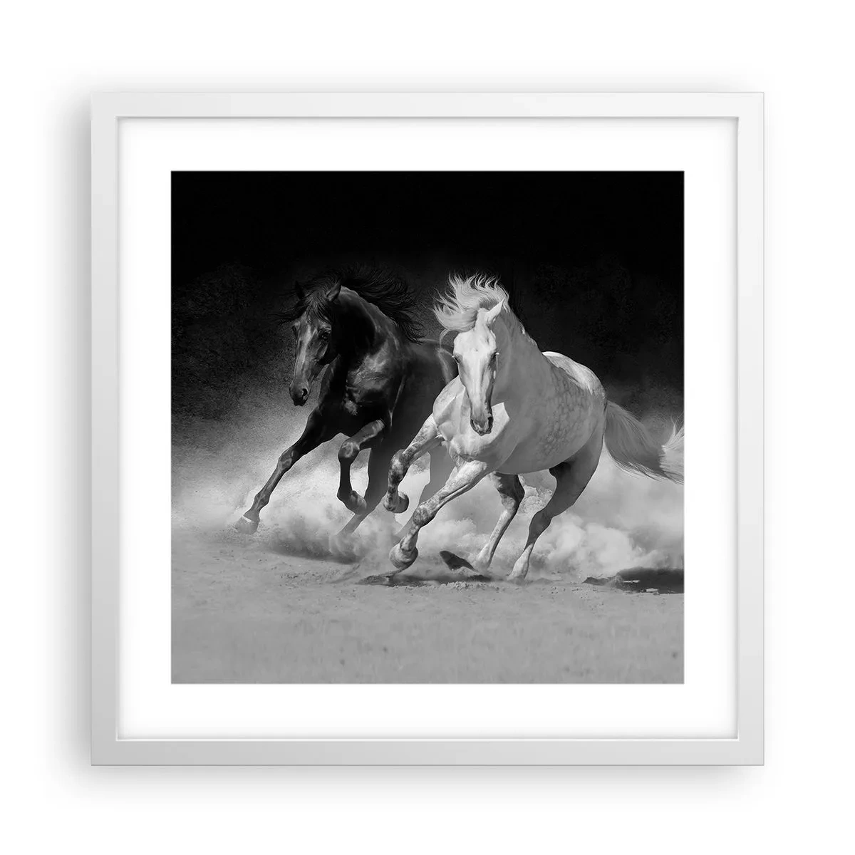 Plakat w białej ramie - Galop wolności - 40x40 cm