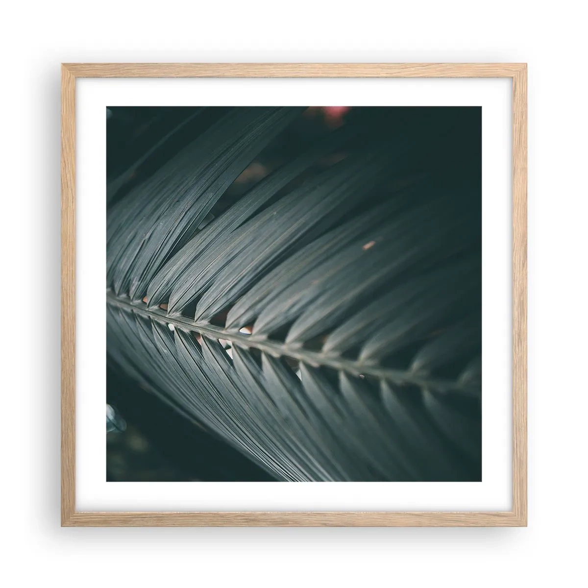 Plakat w ramie jasny dąb - Precyzja natury - 50x50 cm