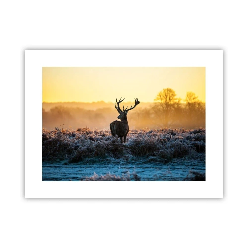 Plakat - Koronowany na swoich włościach - 40x30 cm