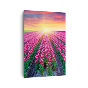 Obraz na płótnie - Pole tulipanów o zachodzie słońca - 70x100cm - Farma piękności - Nowoczesna dekoracja ścienna do salonu i sypialni ARTTOR