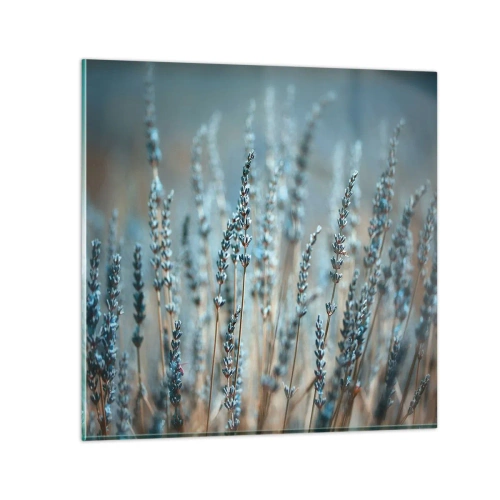 Obraz na szkle - Pachnący łan - 60x60 cm