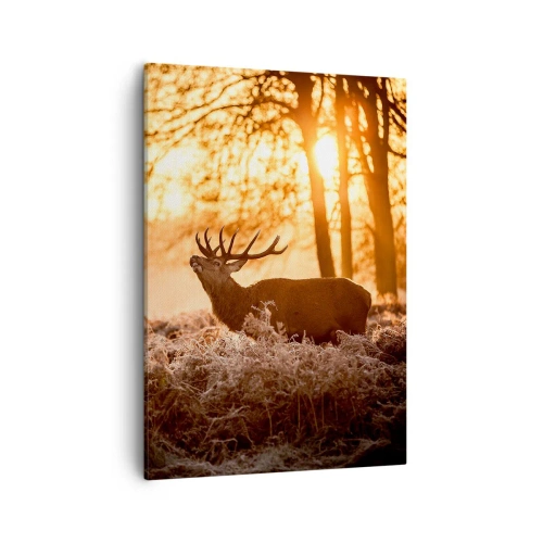 Obraz na płótnie - Jeleń w lesie o wschodzie słońca otoczony złotym światłem - 50x70cm - Marzenie myśliwego - Nowoczesna dekoracja ścienna do salonu, kuchni i sypialni ARTTOR