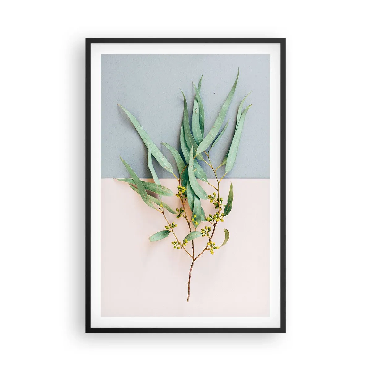 Plakat w czarnej ramie - Pastelowa subtelność - 61x91 cm
