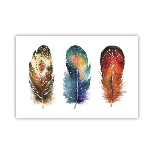 Plakat - Rytuały, obrzędy, tajemnice - 91x61 cm