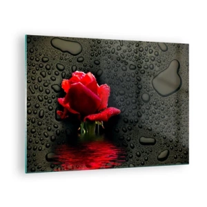 Obraz na szkle - Czerwona róża z kroplami wody na ciemnym tle - 70x50cm - Czerwone i czarne - Nowoczesna dekoracja ścienna do salonu i sypialni ARTTOR