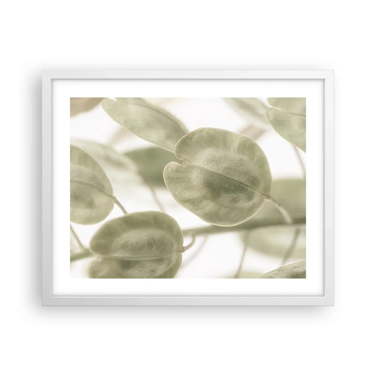 Plakat w białej ramie - Na początku były listki… - 50x40 cm