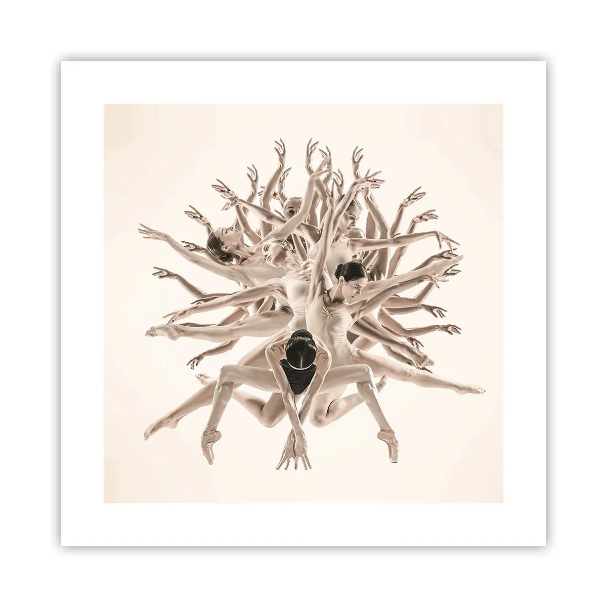 Plakat - Rozkwitanie w tańcu - 40x40 cm