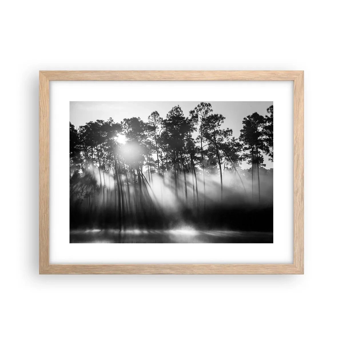 Plakat w ramie jasny dąb - Niepowstrzymane słońce - 40x30 cm