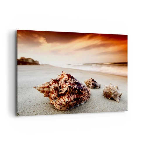 Obraz na płótnie - Muszle na plaży o zachodzie słońca - 100x70cm - Wygnanki fal - Nowoczesna dekoracja ścienna do salonu, kuchni i sypialni ARTTOR