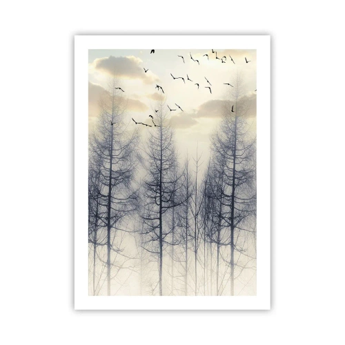 Plakat - Mglisty las z wysokimi drzewami i lecącymi ptakami o poranku - 50x70cm - Duchy lasu - Nowoczesna dekoracja ścienna do salonu, kuchni i sypialni ARTTOR