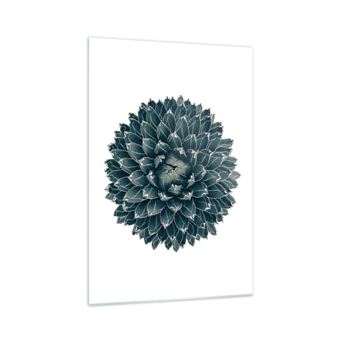 Obraz na szkle - Symetryczna roślina sukulenta na białym tle - 70x100cm - Gwiazda pustyni - Nowoczesna dekoracja ścienna do salonu i sypialni ARTTOR