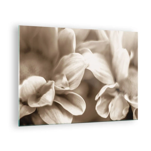 Obraz na szkle - Makrofotografia jasnych płatków kwiatów w sepii - 70x50cm - Łagodne jak uśmiech - Nowoczesna dekoracja ścienna do salonu i sypialni ARTTOR