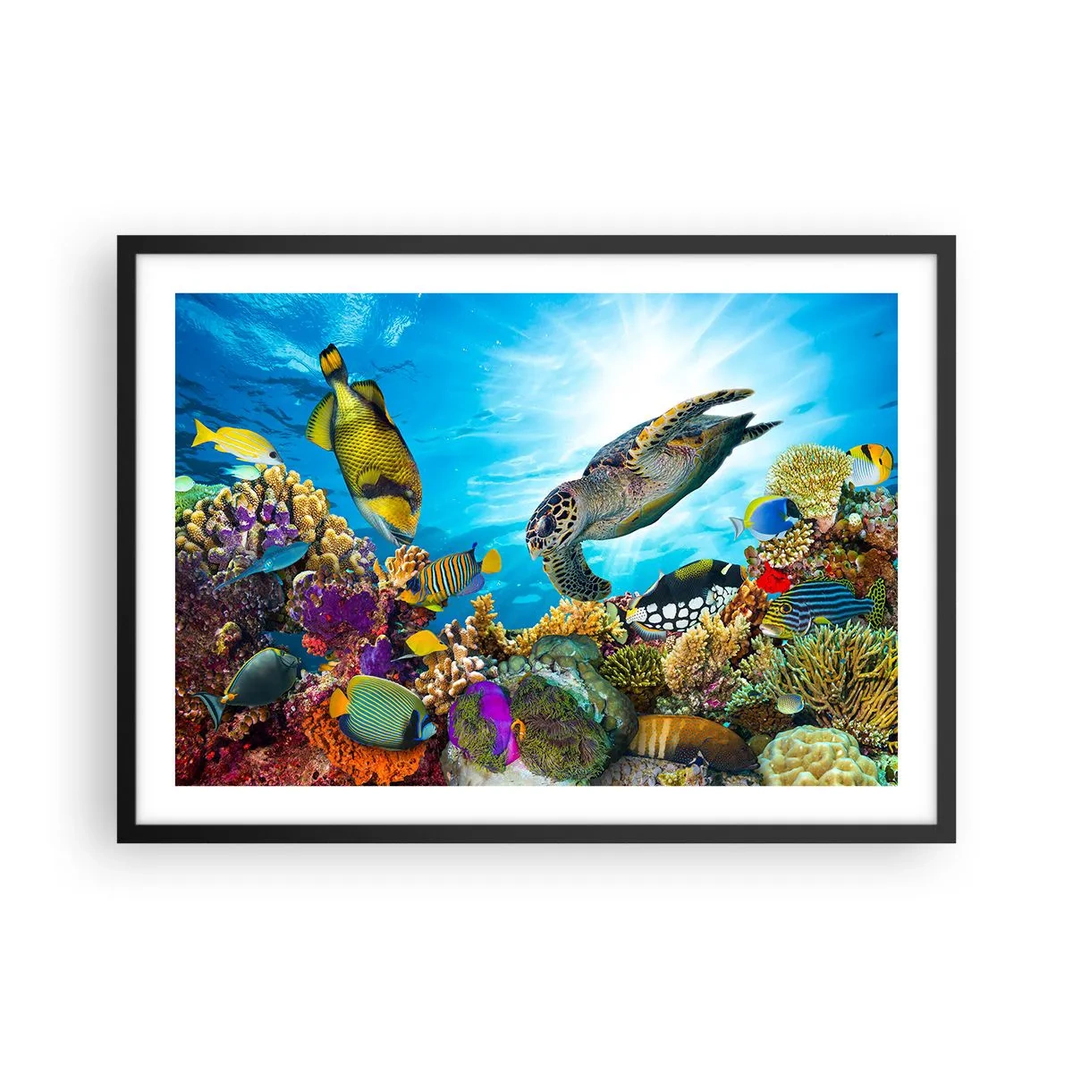Plakat w czarnej ramie - Podwodny świat z kolorowymi rybami i żółwiem w koralowcu - 70x50cm - Koralowa promenada - Nowoczesna dekoracja ścienna do salonu i sypialni ARTTOR