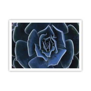 Plakat - Zbliżenie na rozetę zielonego sukulentu - 100x70cm - Kwiat pustyni - Nowoczesna dekoracja ścienna do salonu i sypialni ARTTOR