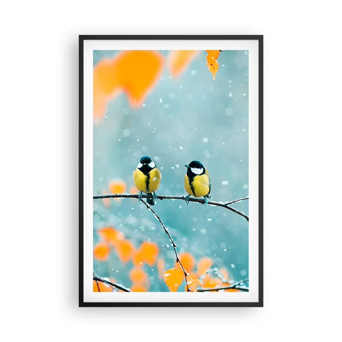 Plakat w czarnej ramie - Ptasie plotki - 61x91 cm