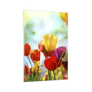 Obraz na szkle - Kolorowe tulipany w promieniach słońca - 70x100cm - Wszystkie barwy słońca - Nowoczesna dekoracja ścienna do salonu i sypialni ARTTOR