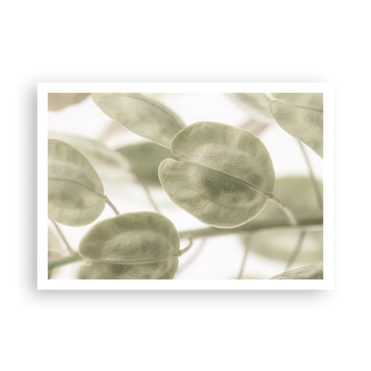 Plakat - Delikatny obraz liści w pastelowych odcieniach zieleni na jasnym tle - 100x70cm - Na początku były listki… - Nowoczesna dekoracja ścienna do salonu i sypialni ARTTOR
