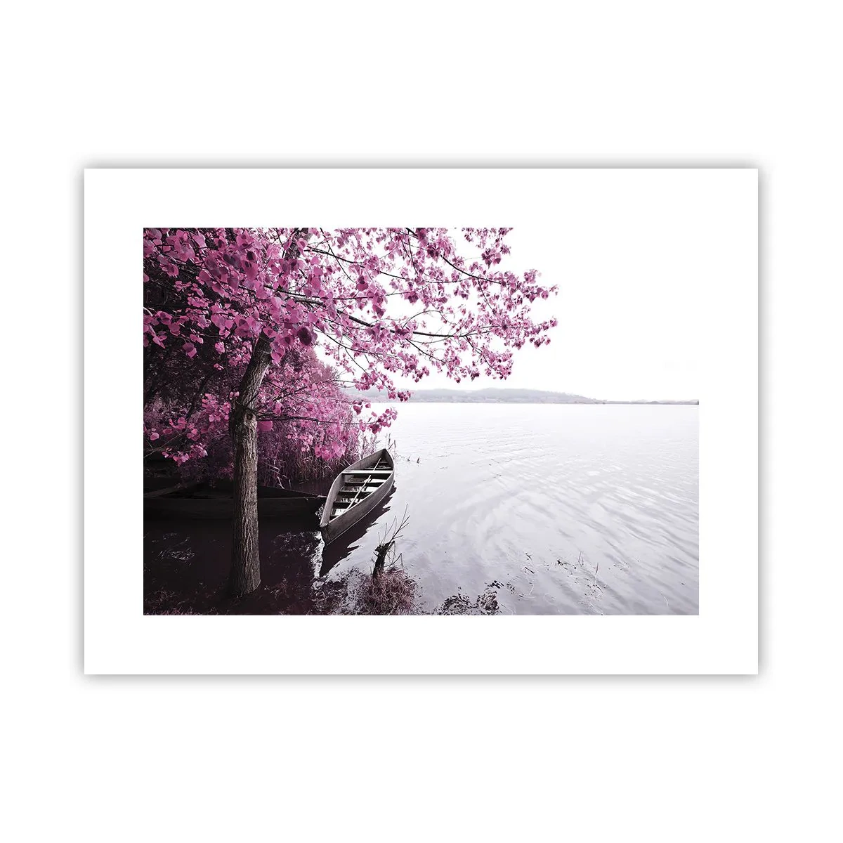 Plakat - W różowej ciszy - 40x30 cm