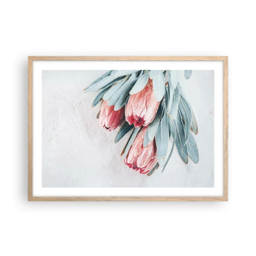 Plakat w ramie jasny dąb - Zawstydzone własną urodą - 70x50 cm