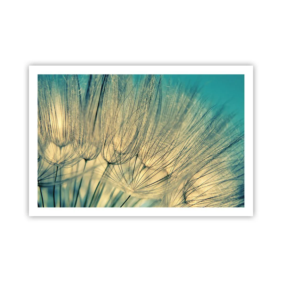 Plakat - W oczekiwaniu na wiatr - 91x61 cm