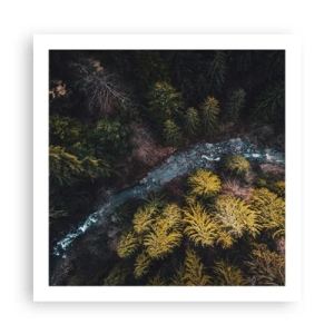 Plakat - Szybko, coraz szybciej - 60x60 cm