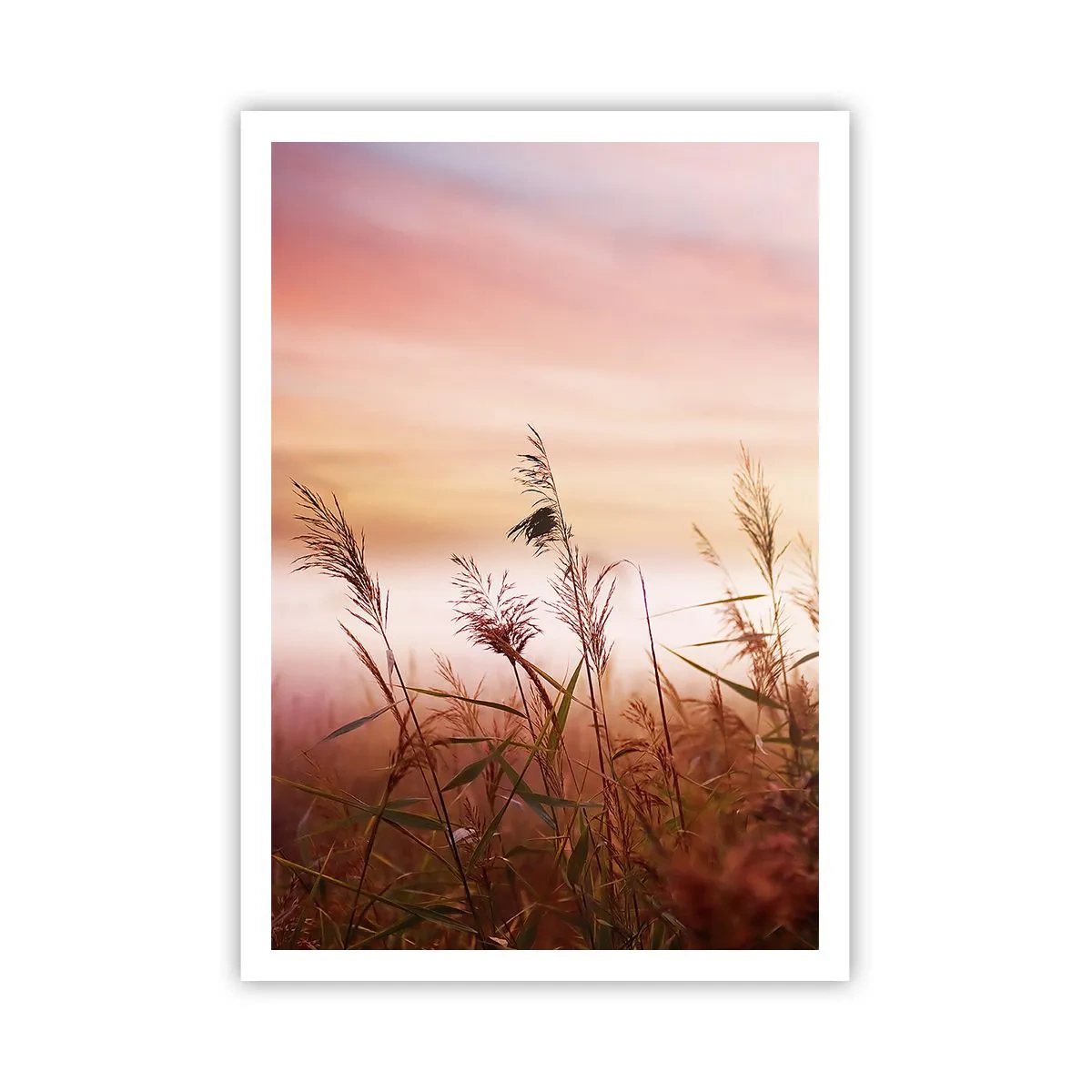 Plakat - Latawce, dmuchawce, wiatr - 70x100 cm