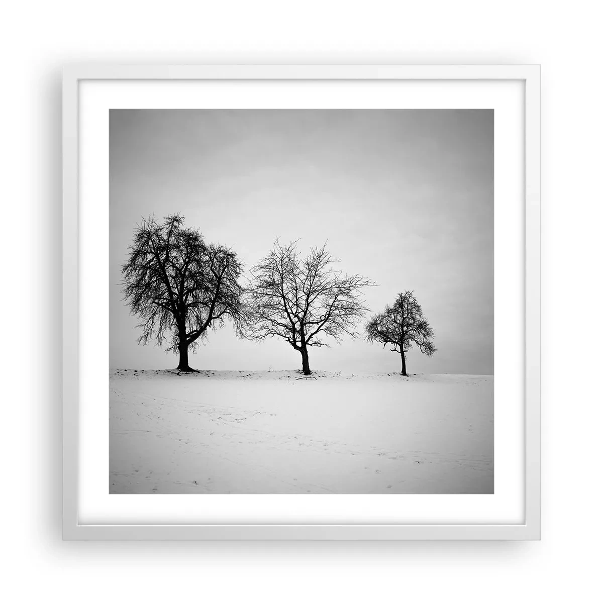 Plakat w białej ramie - O czym śnią? - 50x50 cm