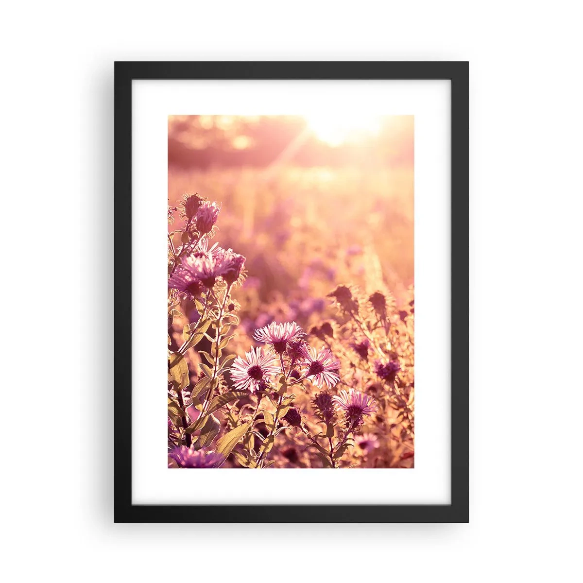 Plakat w czarnej ramie - Przed odejściem lata - 30x40 cm