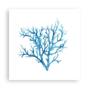 Plakat - Morski filigran - 50x50 cm