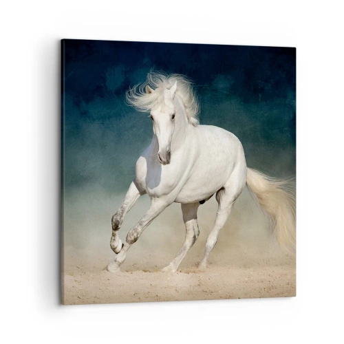 Obraz na płótnie - Wolność w stanie czystym - 50x50 cm