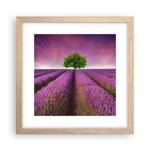 Plakat w ramie jasny dąb - Na lawendowych polach - 30x30 cm